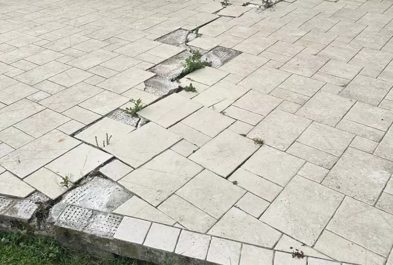 Cabinet Papiachvili Avocats - Recours contre un tiers responsable en cas de sinistre sécheresse : identifier et poursuivre les responsabilités